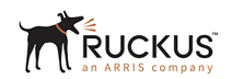 Ruckus Networks Ruckus Networks